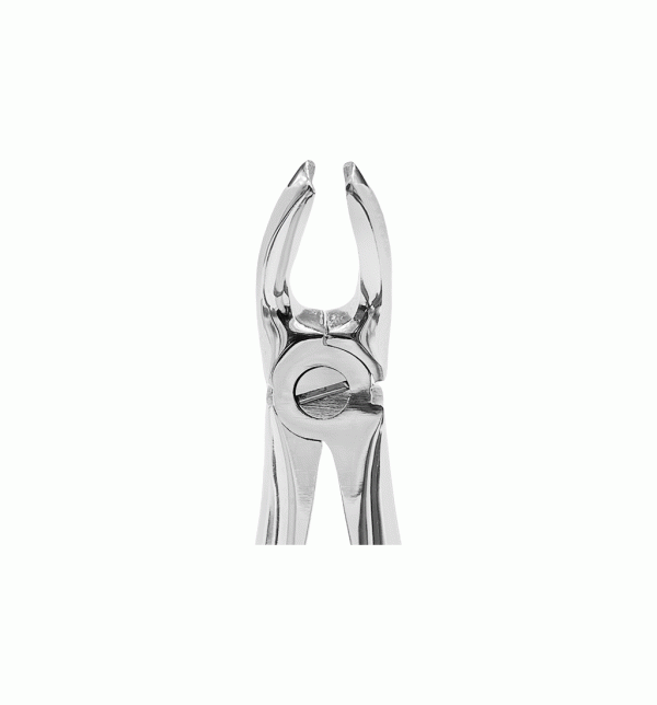 فورسپس پرمولر بالا Upper Premolar Forceps Smart Instru